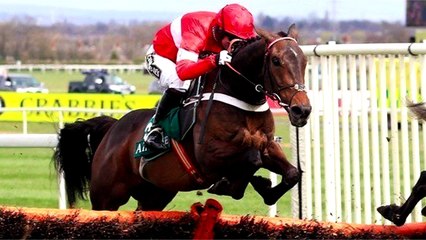 Join VG Tips for £10 prior to the Cheltenham Festival