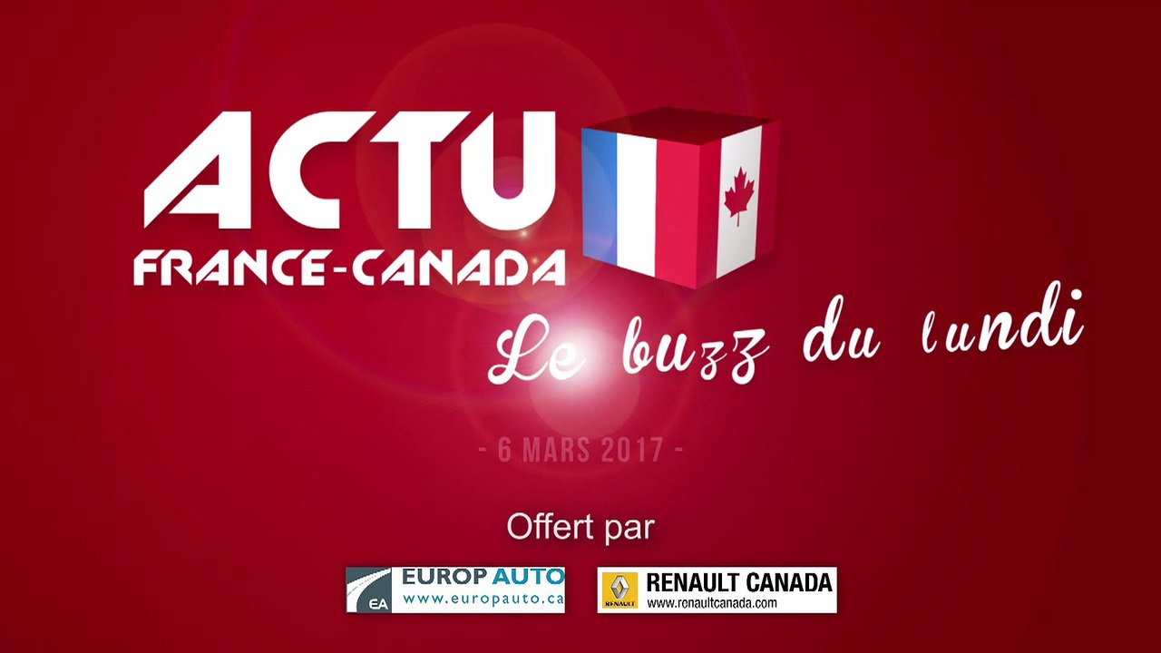 Quand 3 Goldens Retrievers veulent la Même Balle !