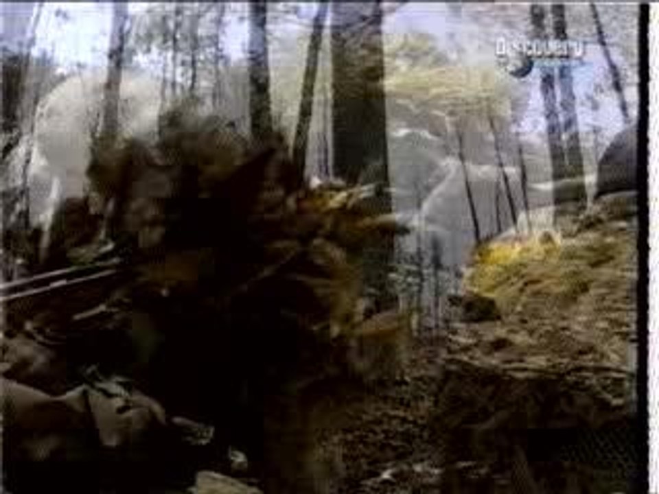 Sniper rifle