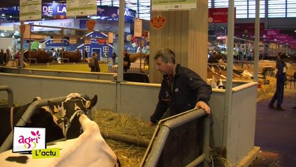 Dans les coulisses des concours du salon