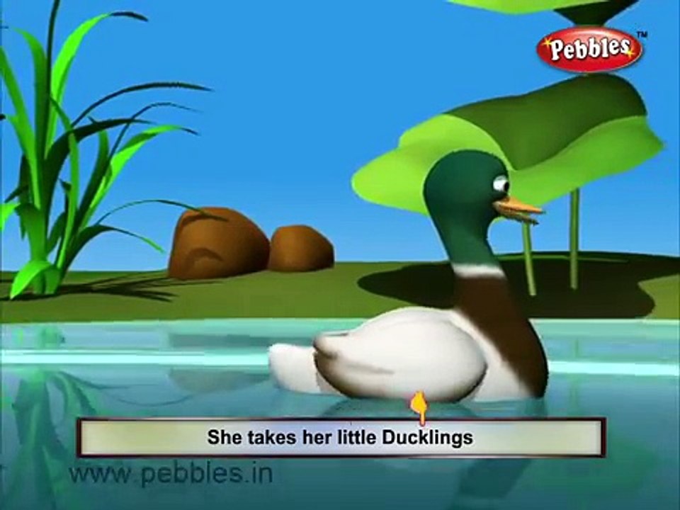 Five Little Birds | Nursery Rhymes | Original Song based on 5 Little Ducks by LittleBabyBu