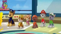 Watch # Paw Patrol # Pups Cartoons Games in 3D Compilation Video for Kids Full Episode 2016