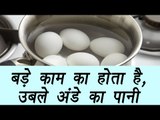 How to use water left after boiling eggs | Benefits | बड़े काम का होता है, उबले अंडे का पानी Boldsky