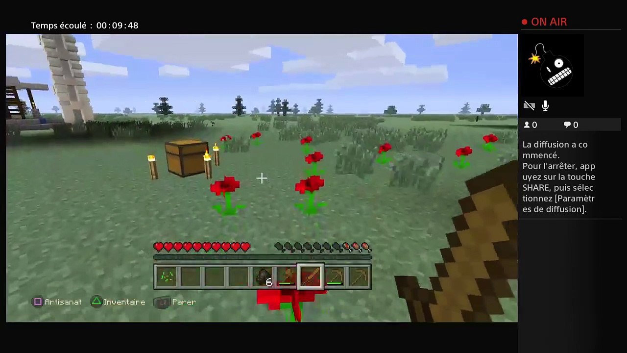 Live minecraft (9)