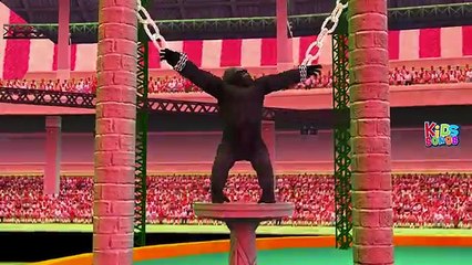 Gorilla Vs Dinosaur Crazy Fight Video | Finger Family Songs & Nursery Rhymes for Children