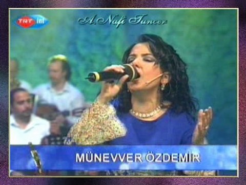 Münevver ÖZDEMİR - Bahçada Yeşil Çınar (2)