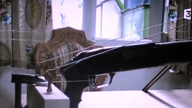 Kommissar Rex : Le chien policier sauve la vie de ses maitres dans une maison pièger