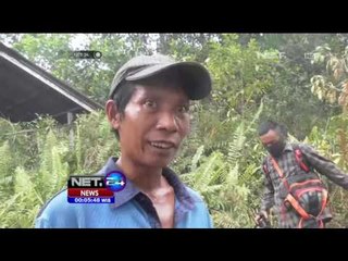 TNI Amankan Terduga Pembakar Lahan Gambut - NET24