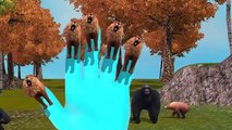 3D Animated Top 10 Lion Nursery Finger Family Rhymes | 3D Nursery Rhymes