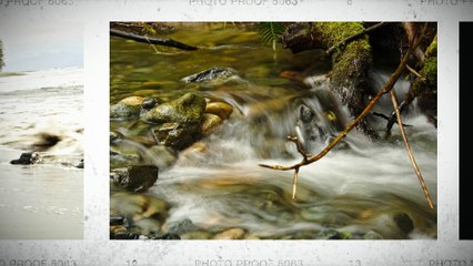 Cendrine Marrouat Photography: When Nature Speaks