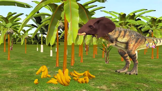 Dinosaurs Vs King Kong Fight | Colors Animals Lion Gorilla Elephant Finger Family Rhymes