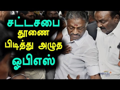 Vote Of Confidence, OPS Says 'Dharmam' will win- Oneindia Tamil
