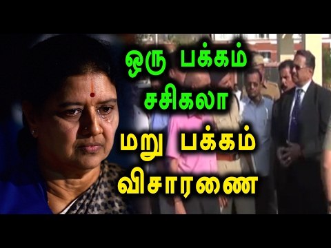 Enquiry On Jallikattu Protest | ஜல்லிக்கட்டு போராட்ட சேதம் குறித்து விசாரணை - Oneindia Tamil
