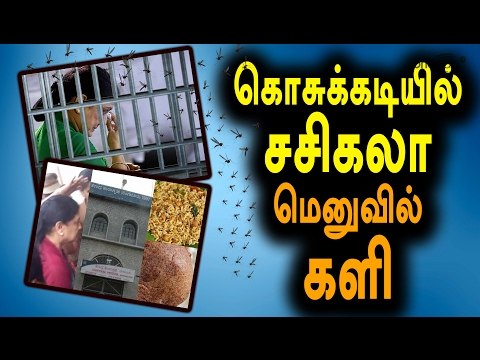 Sasikala Natarajan's First Day in the Bengaluru jail - Oneindia Tamil