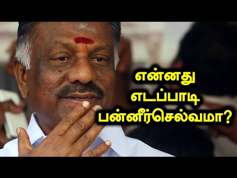 ADMK Cadres Celebration, Edapadi palanisamy as CM of Tamilnadu- Oneindia Tamil