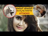 Parul Yadav attacked by Street Dogs | ನಟಿ  ಪಾರುಲ್ ಮೇಲೆ ಬೀದಿ ನಾಯಿಗಳ ಅಟ್ಟಹಾಸ.! | Filmibeat Kannada