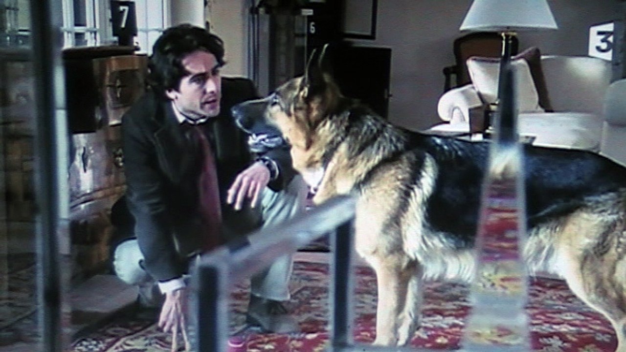 Kommissar Rex