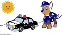 Best learning Colors Video for Children with Paw Patrol Chase and Lots of Police Cars