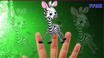 Zebra Cartoon Finger Family Song | Zebra Finger Family Rhyme | Children Nursery Rhymes