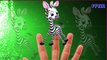 Zebra Cartoon Finger Family Song | Zebra Finger Family Rhyme | Children Nursery Rhymes