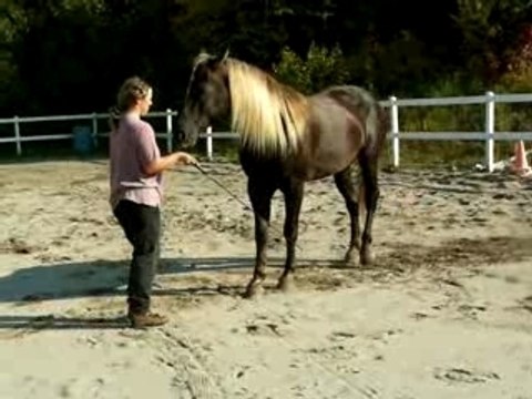 Croisé pattes en marchant