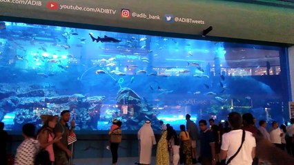 The Dubai Mall %7CLargest Shopping Mall%7C January 2017