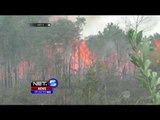 Kebakaran Lahan Gambut di Pontianak Meluas, Petugas Bekerja 24 Jam - NET5