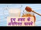 Honey and Milk makes EXCELLENT combination | दूध शहद के अनगनित फायदे | Boldsky