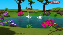 Peacock Bird Nursery Rhyme | Bird Rhymes | Nursery Rhymes For Kids | Nursery Rhymes 3D Ani