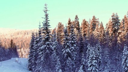 BMW X3 Motion Trailer