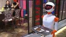 Robot Servers Take Over Chinese Restaurant