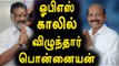 பொன்னையன், ஓபிஎஸ்-க்கு ஆதரவு | C Ponnaiyan Supports OPS- Oneindia Tamil