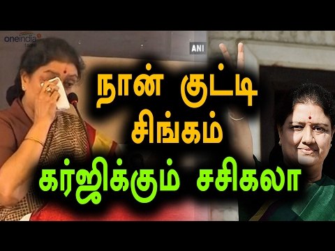 சசிகலா-நான் ஒரு குட்டி சிங்கம் | Sasikala Says I Am Lion - Oneindia Tamil