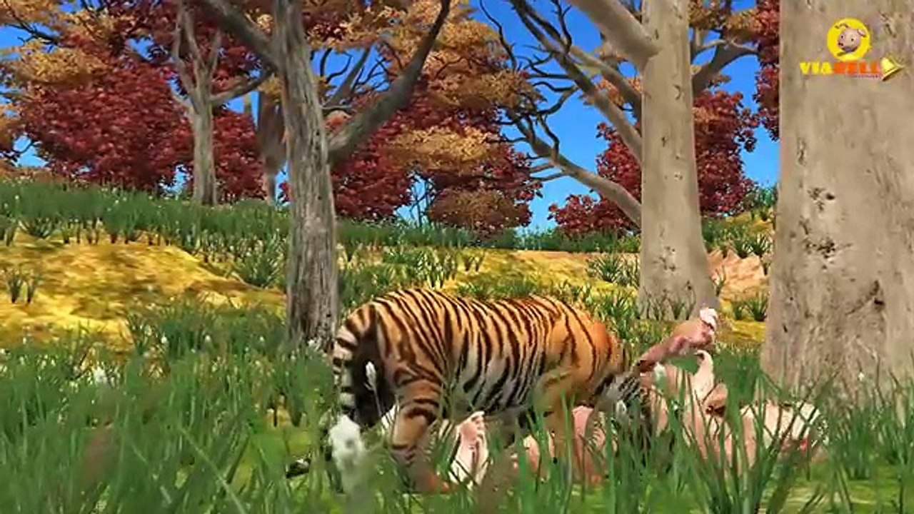 king Kong VS Dinosaurs Olympics Games 2016 | SuperHeros Cartoon Animation | Kids Fun Learning Videos