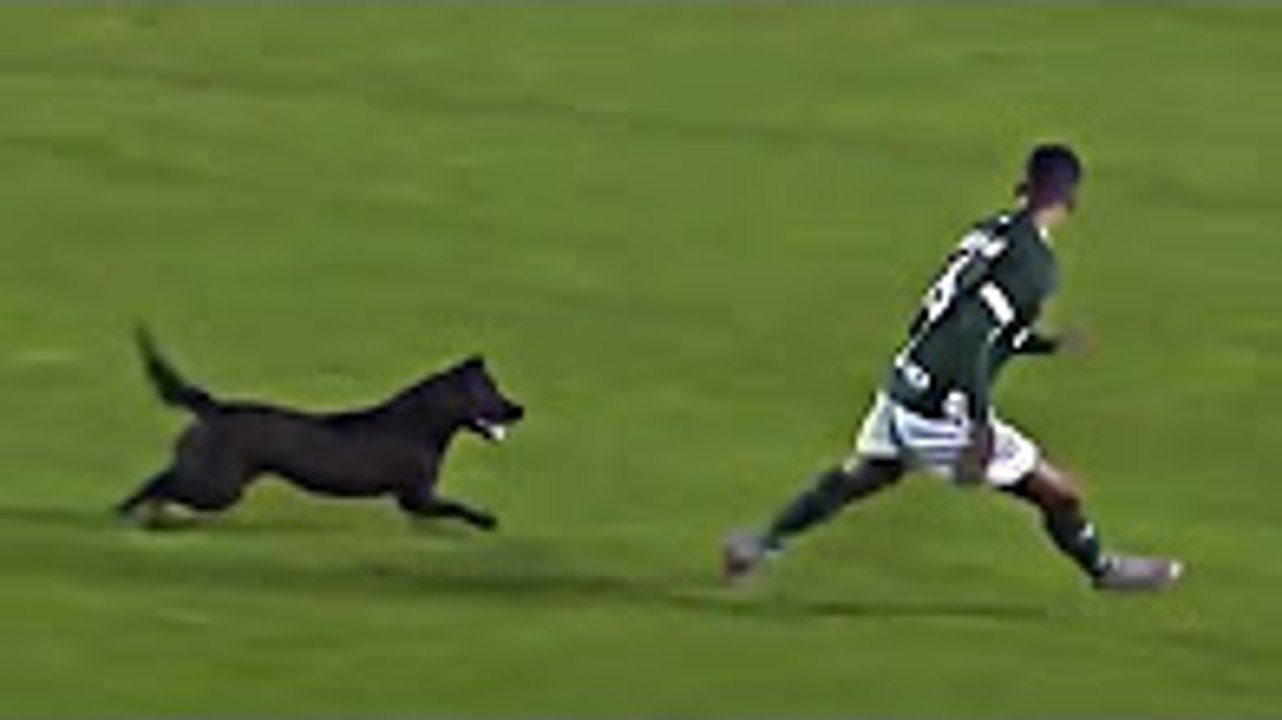 Comedy Football 2017 ● Epic Fails, Funny Skills, Bloopers, Bizzare