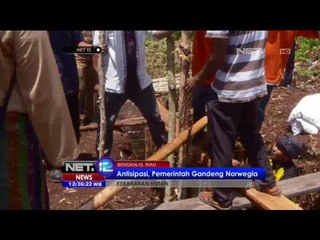 Download Video: Tips Mencegah Kebakaran Hutan dan Lahan - NET12