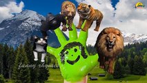 Finger Family Nursery english 3d rhymes| Lion,tiger,Cheetah,Gorilla,Cat | With Specific Lyrics