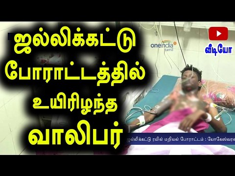 ஜல்லிக்கட்டு போராட்டத்தில் உயிரிழந்த வாலிபர் | Student Electrocuted While Protest- Oneindia Tamil