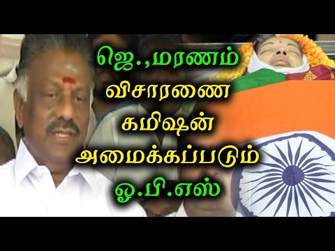 ஜெயலலிதா மரணத்தில் சந்தேகம்-ஓ.பி.எஸ் | Doubt In Jayalalitha's Treatment Says O.P.S- Oneindia Tamil