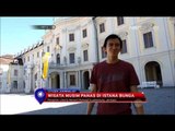 Wisata Musim Panas Istana Bunga di Jerman - NET5