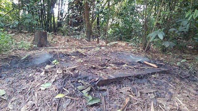 Thuê xe tự lái đà lạt chia sẽ video thue xe tu lai da lat da test