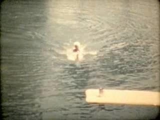 Friedrich Liechtenstein - Delphinmann