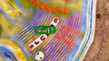 Lightning Yellow McQueen & Dinoco Spiderman Cars Nursery Rhymes Songs Children Cartoon