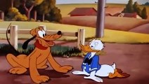 Donald Duck  Chip And Dale Cartoons - Old Classics Disney Cartoons New Compi