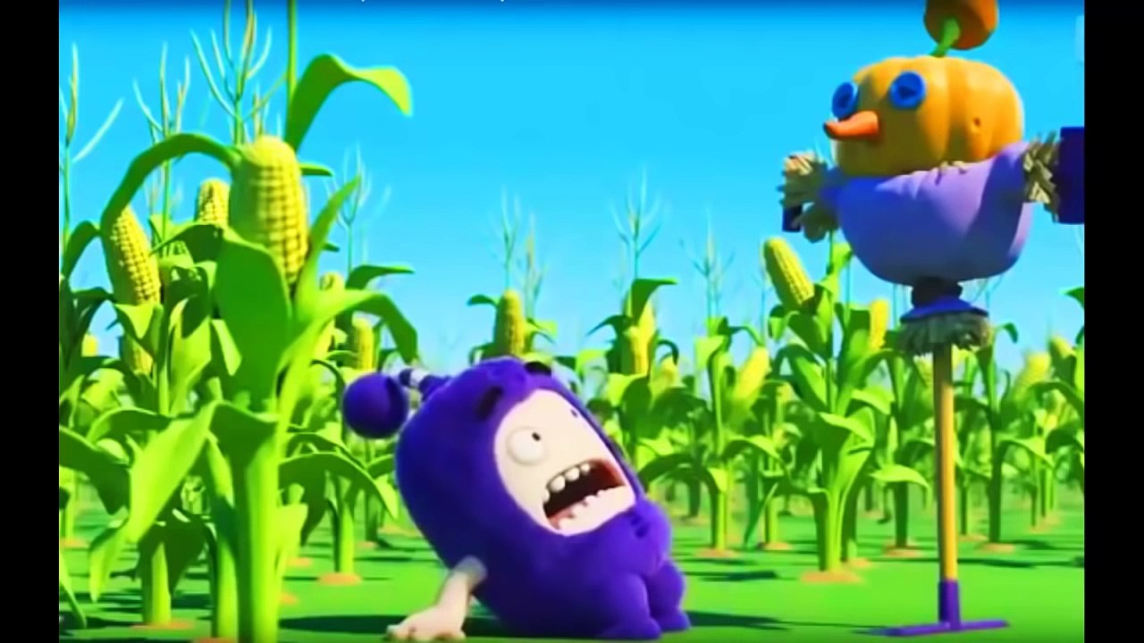 ASSEMBLY BEAUTIFUL PICTURES ODBODS