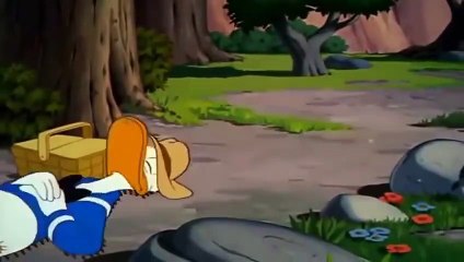 Donald Duck  Chip And Dale Cartoons - Old Clas