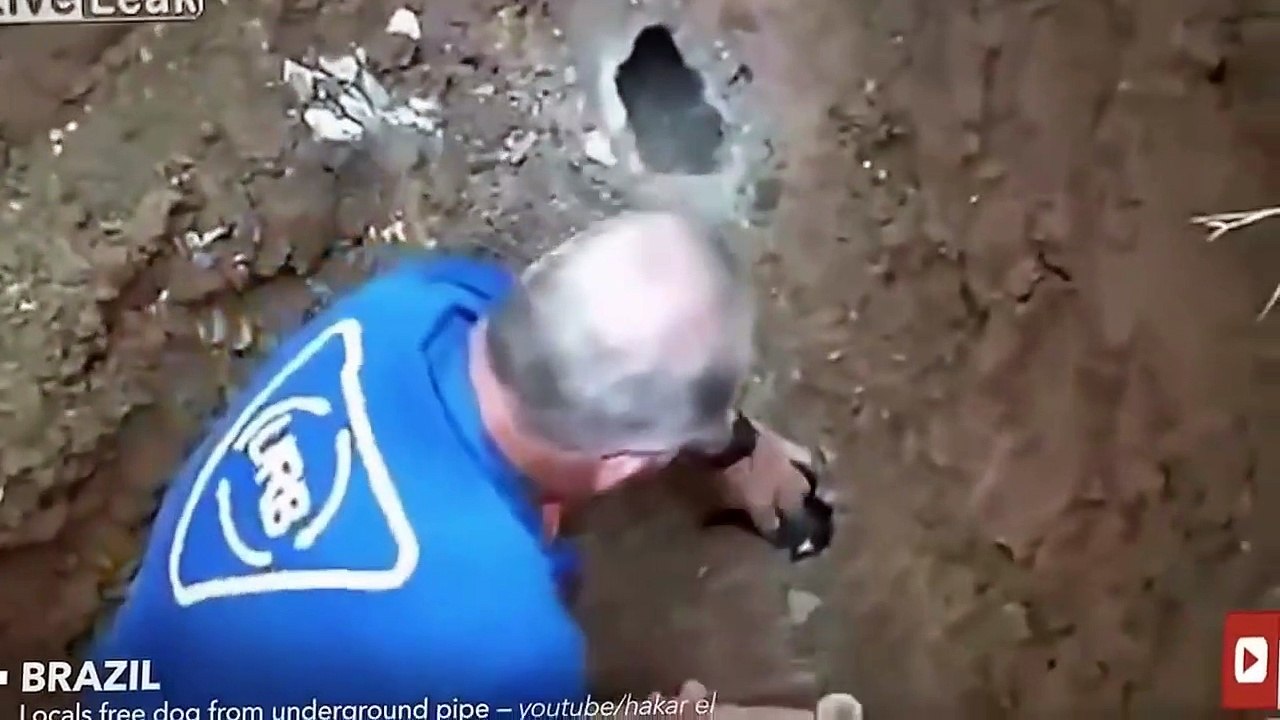 World most Shocking Video that made t