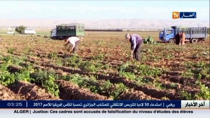 أسعار البطاطا ملتهبة...هل ستعيد سيناريو إستيرادها...؟