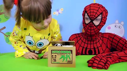Spiderman. НАСТЯ и ЧЕЛОВЕК ПАУК. ПАНДА И СПАЙДЕР МЕН. Игры для детей.Spider-Men toys
