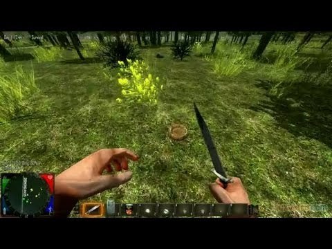 Gaming live - Coup d'oeil sur l'alpha d'un titre à la croisée des genres